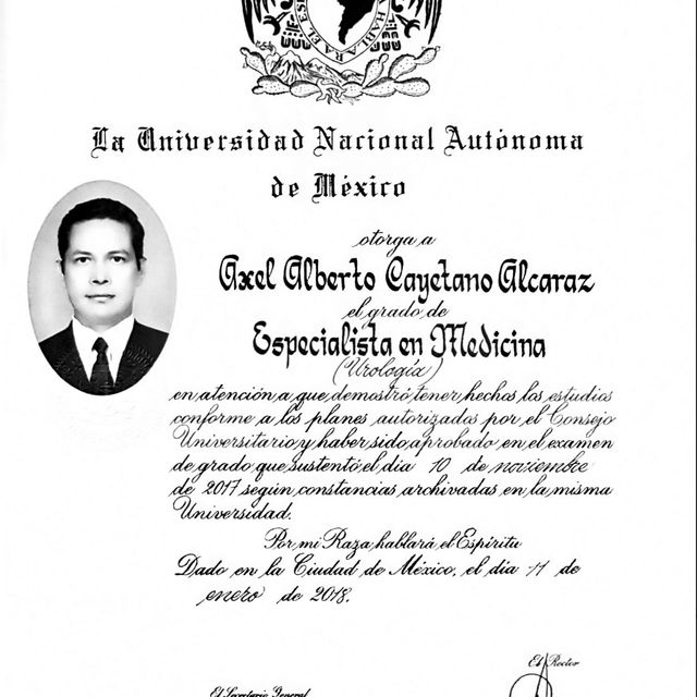 Ampliar imagen: certificate 1