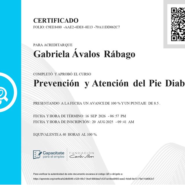 Ampliar imagen: certificate 7