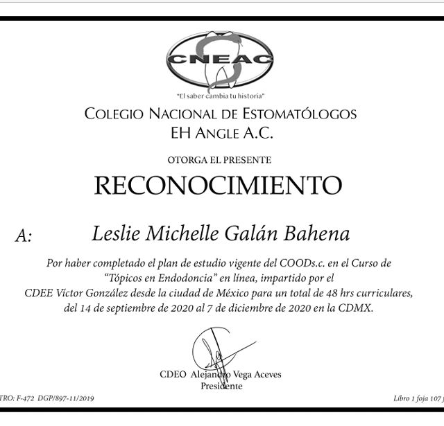 Ampliar imagen: certificate 9