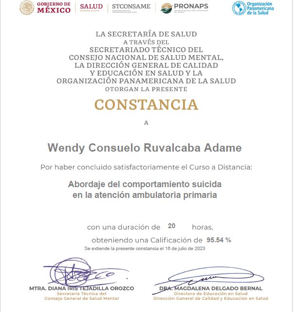 Ampliar imagen: certificate 11