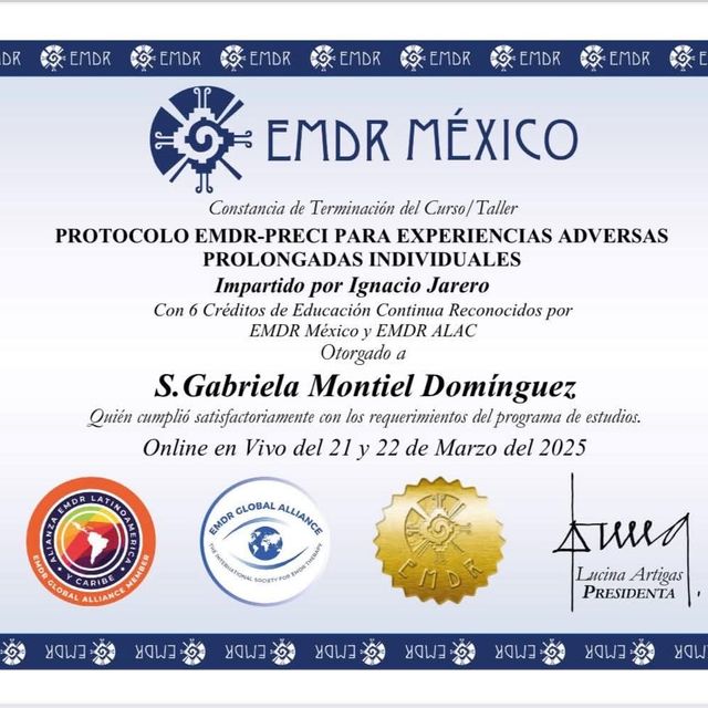 Ampliar imagen: certificate 22