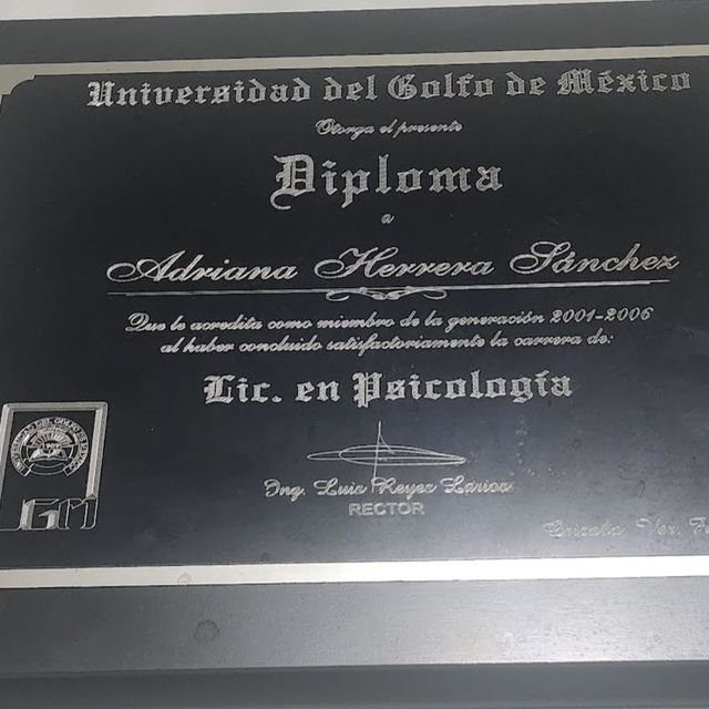 Ampliar imagen: certificate 1