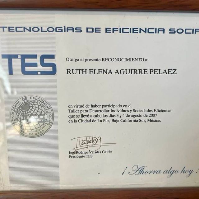 Ampliar imagen: certificate 12