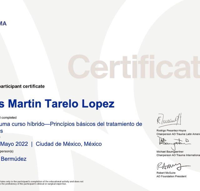 Ampliar imagen: certificate 4