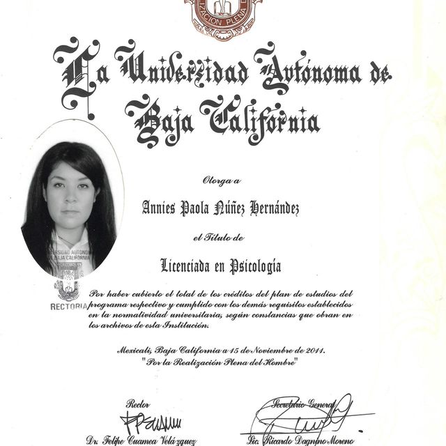 Ampliar imagen: certificate 2