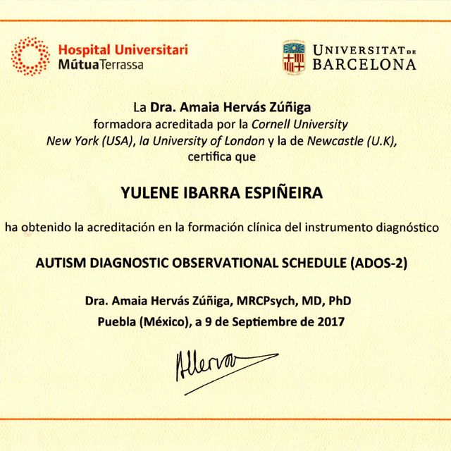 Ampliar imagen: certificate 2