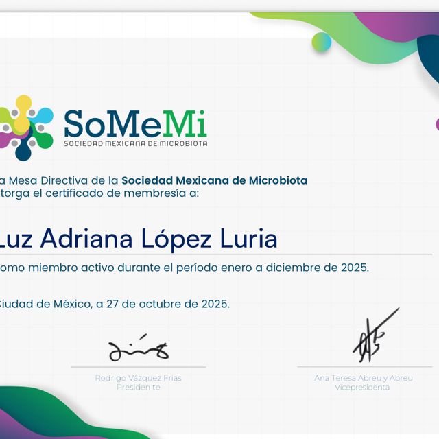 Ampliar imagen: certificate 7
