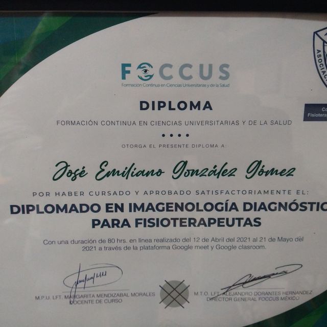 Ampliar imagen: certificate 5