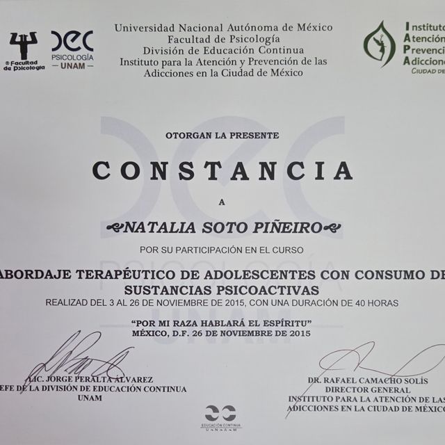Ampliar imagen: certificate 6