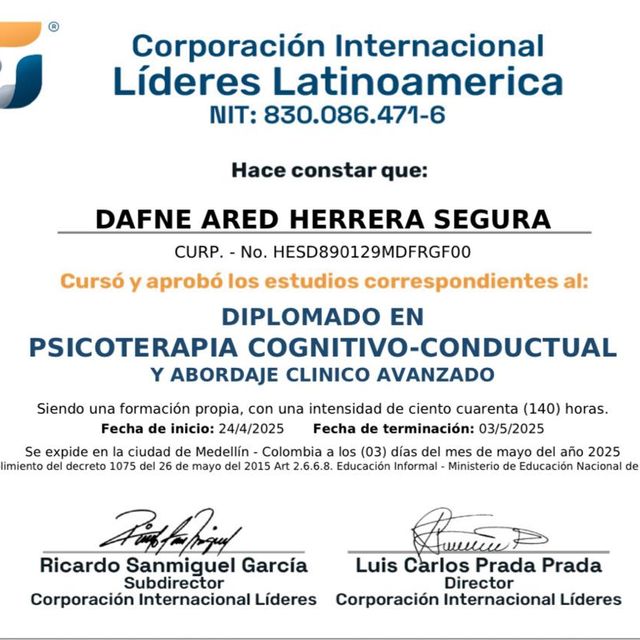 Ampliar imagen: certificate 13