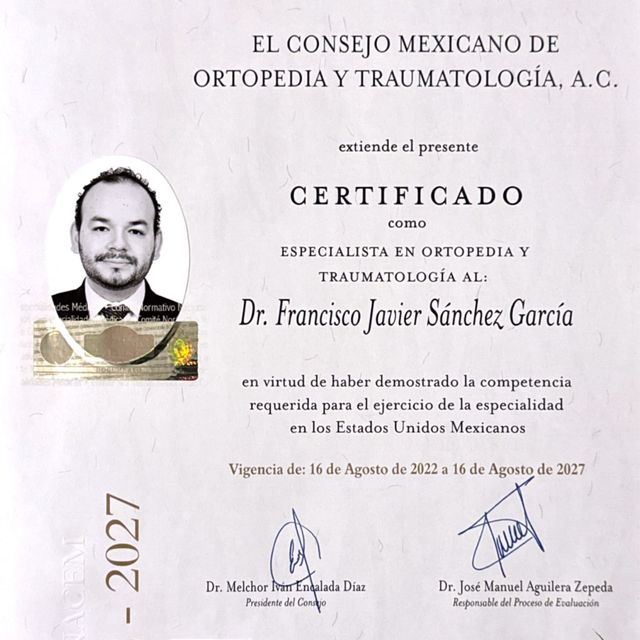 Ampliar imagen: certificate 5