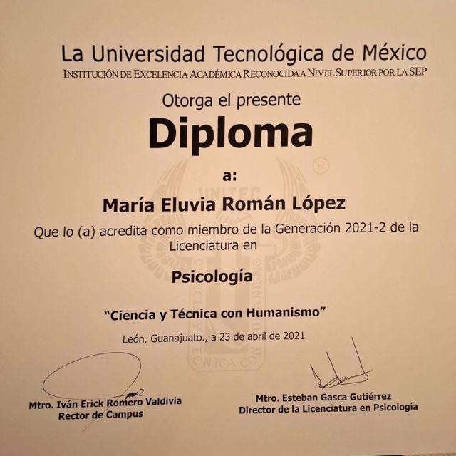 Ampliar imagen: certificate 6