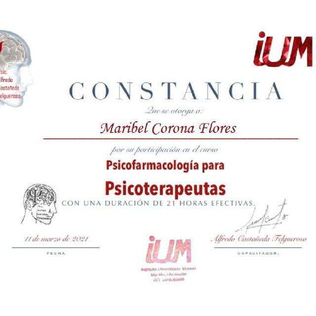 Ampliar imagen: certificate 10