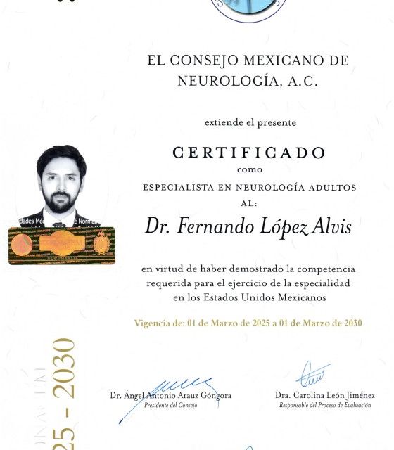 Ampliar imagen: certificate 2