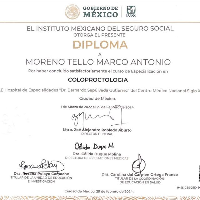 Ampliar imagen: certificate 3