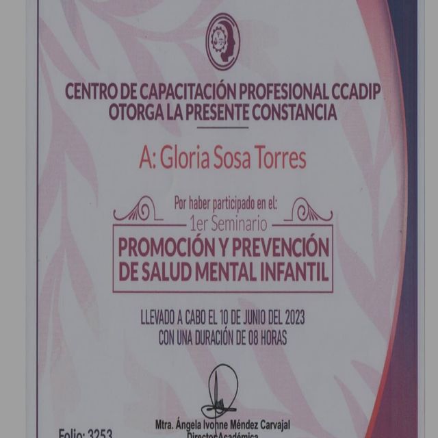 Ampliar imagen: certificate 4
