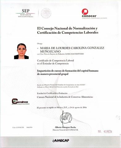 Ampliar imagen: certificate 11