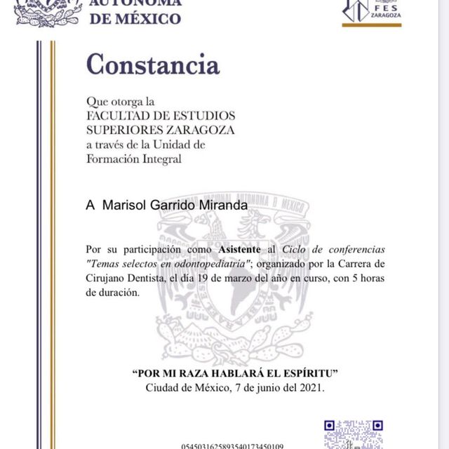 Ampliar imagen: certificate 1