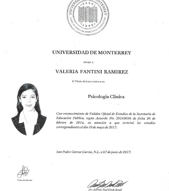 Ampliar imagen: certificate 1