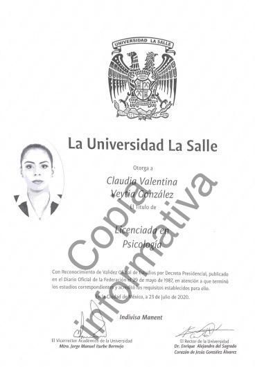 Ampliar imagen: certificate 5