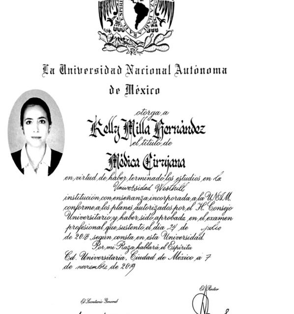 Ampliar imagen: certificate 1