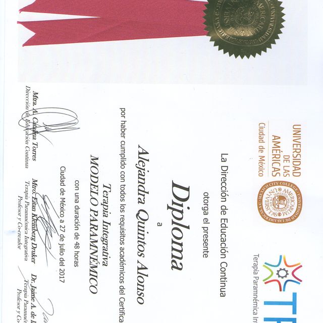 Ampliar imagen: certificate 13