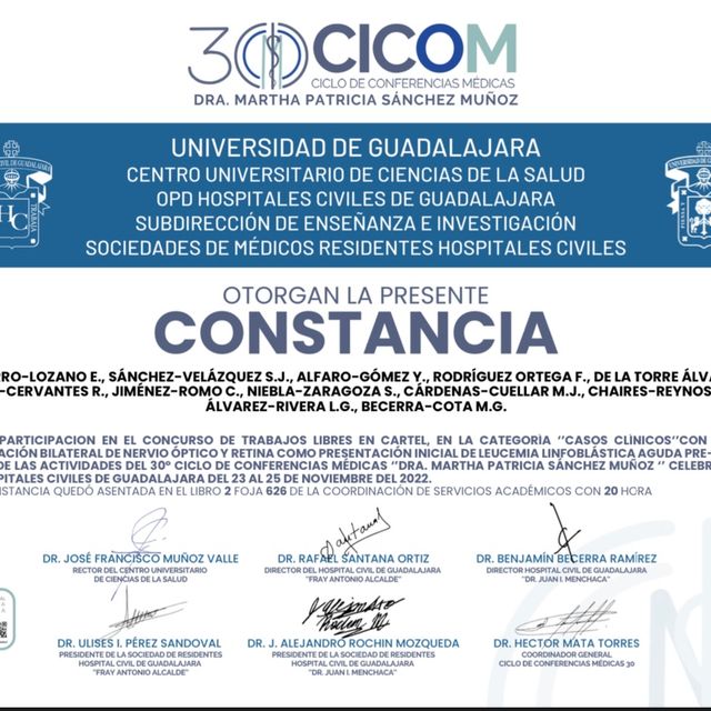 Ampliar imagen: certificate 17