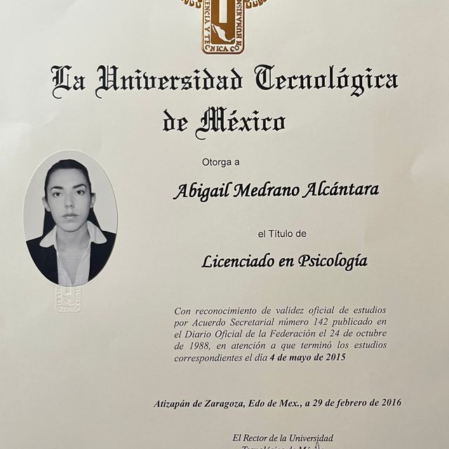 Ampliar imagen: certificate 1