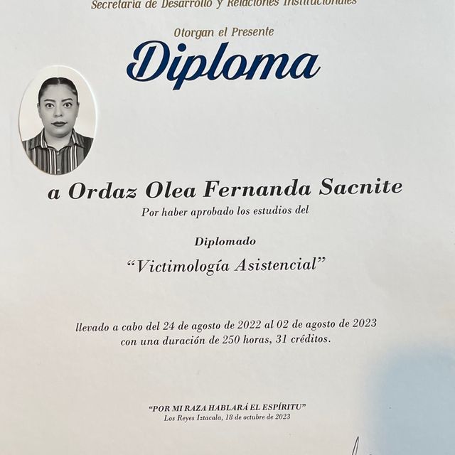 Ampliar imagen: certificate 2