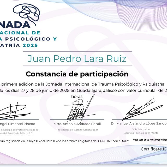 Ampliar imagen: certificate 5