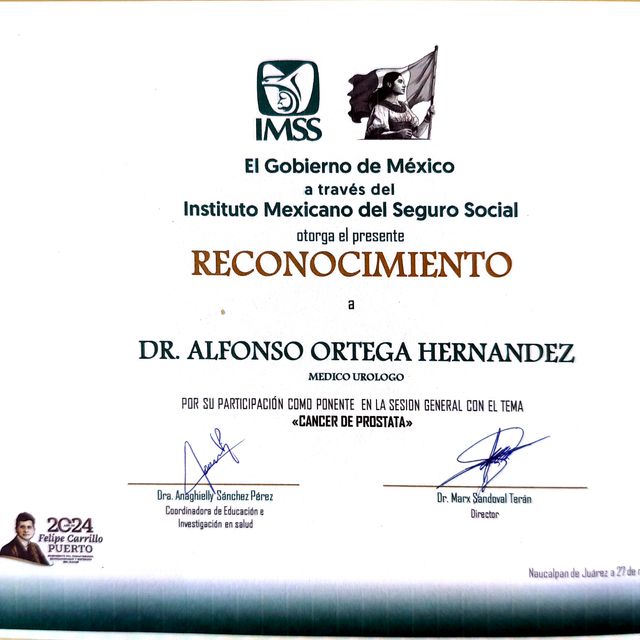 Ampliar imagen: certificate 7