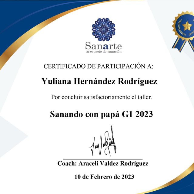 Ampliar imagen: certificate 23