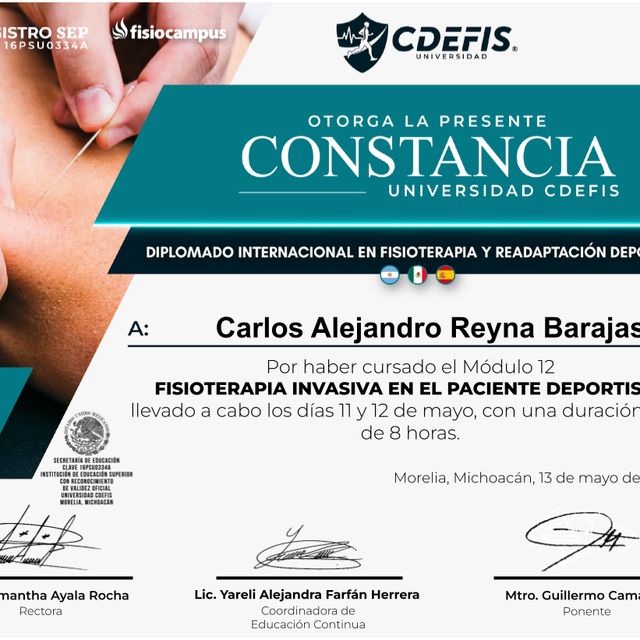 Ampliar imagen: certificate 13