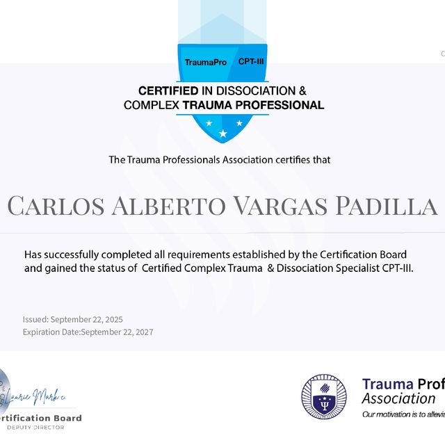 Ampliar imagen: certificate 22