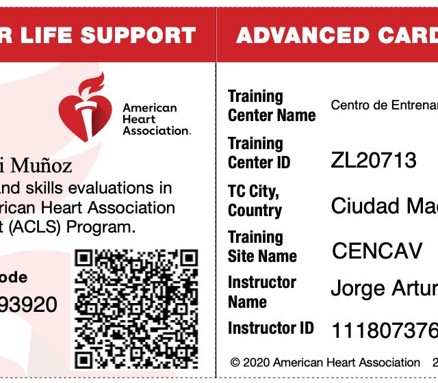 Ampliar imagen: certificate 3