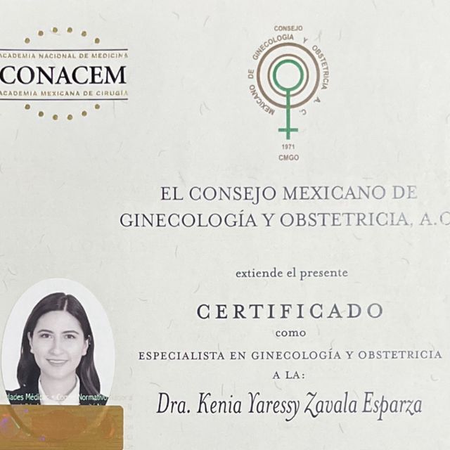 Ampliar imagen: certificate 1
