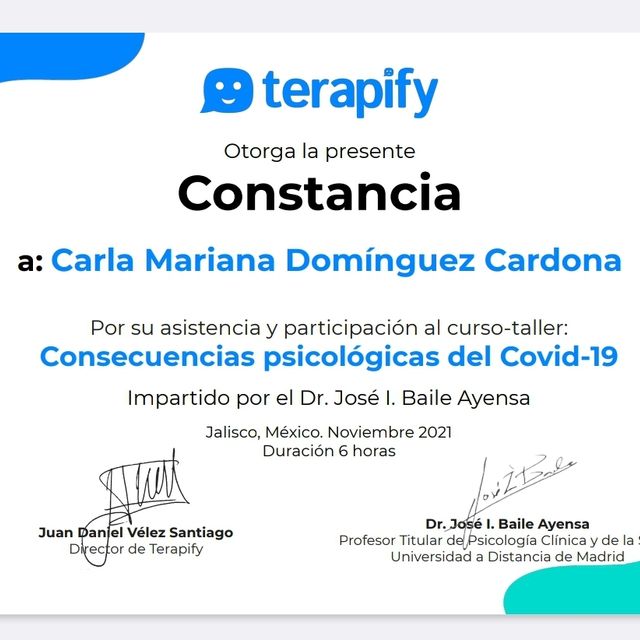 Ampliar imagen: certificate 4