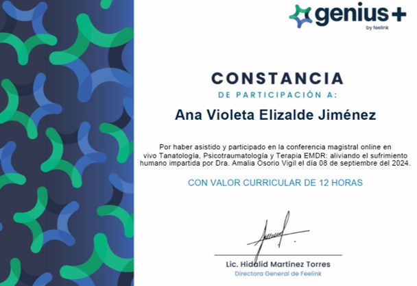 Ampliar imagen: certificate 12