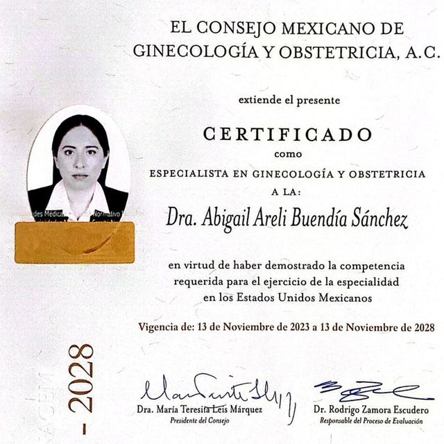 Ampliar imagen: certificate 3