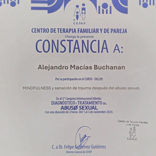 Ampliar imagen: certificate 28