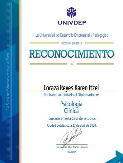 Ampliar imagen: certificate 1