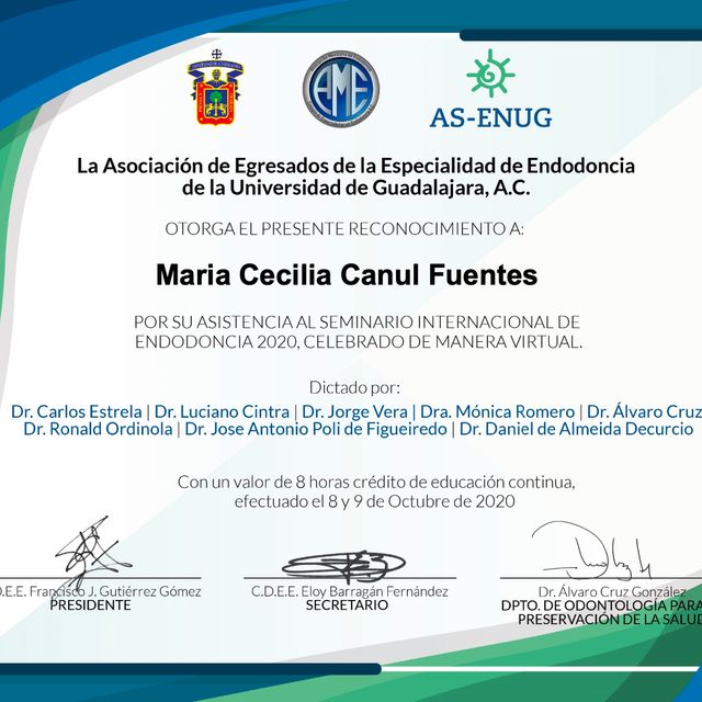 Ampliar imagen: certificate 2