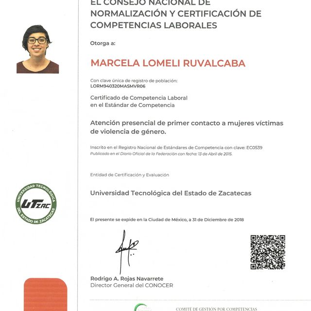 Ampliar imagen: certificate 3