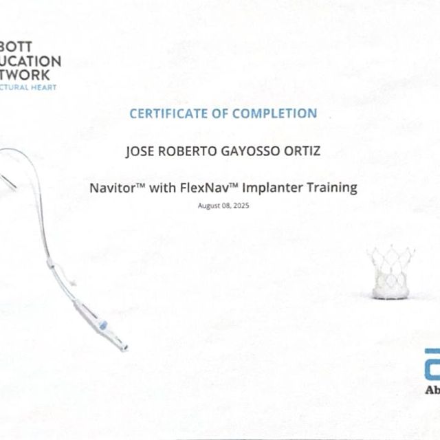 Ampliar imagen: certificate 7