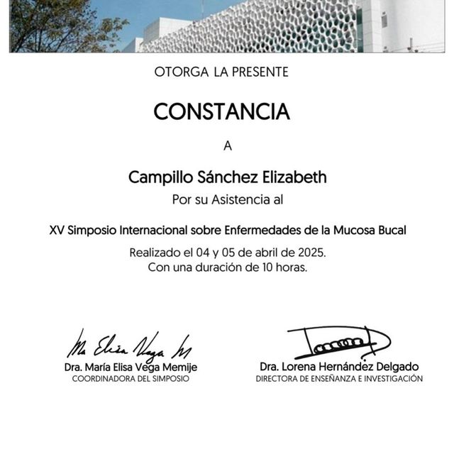 Ampliar imagen: certificate 3