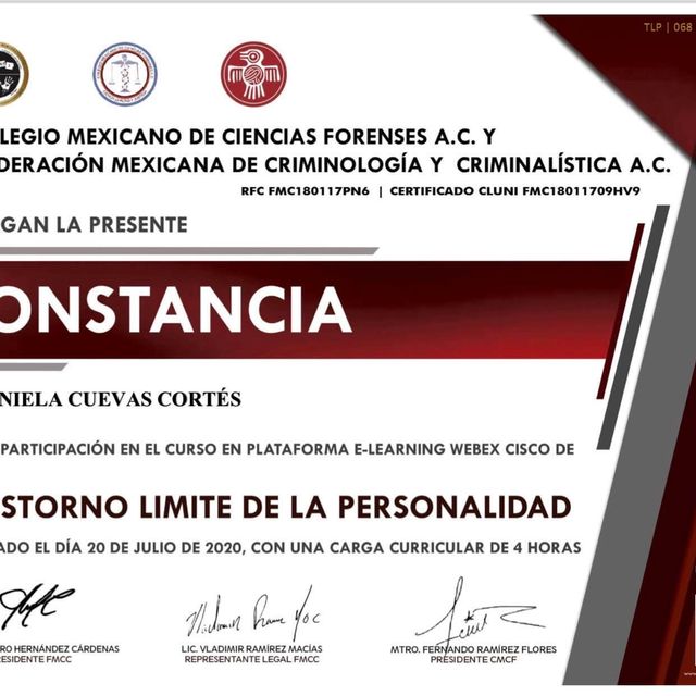 Ampliar imagen: certificate 3
