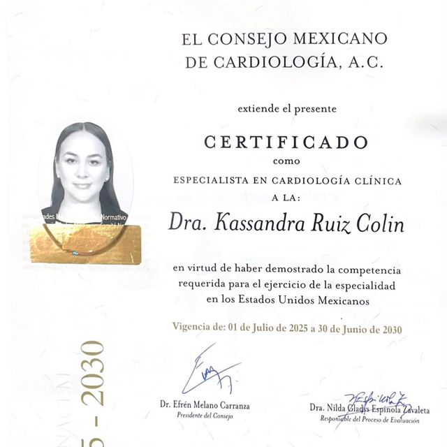 Ampliar imagen: certificate 1