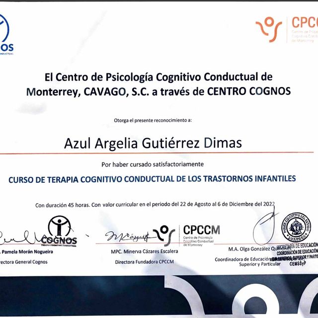 Ampliar imagen: certificate 2