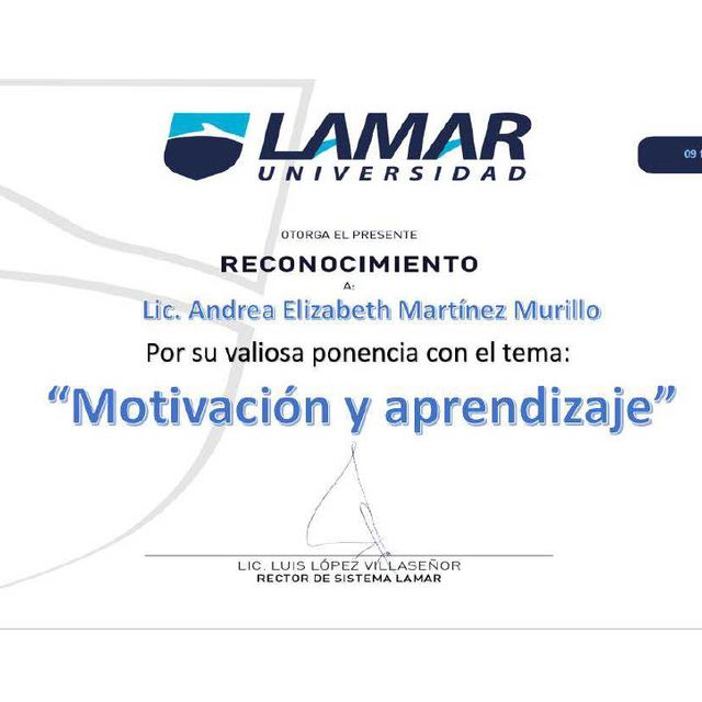 Ampliar imagen: certificate 52