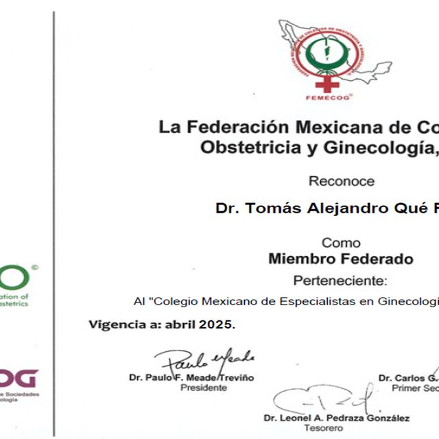 Ampliar imagen: certificate 6